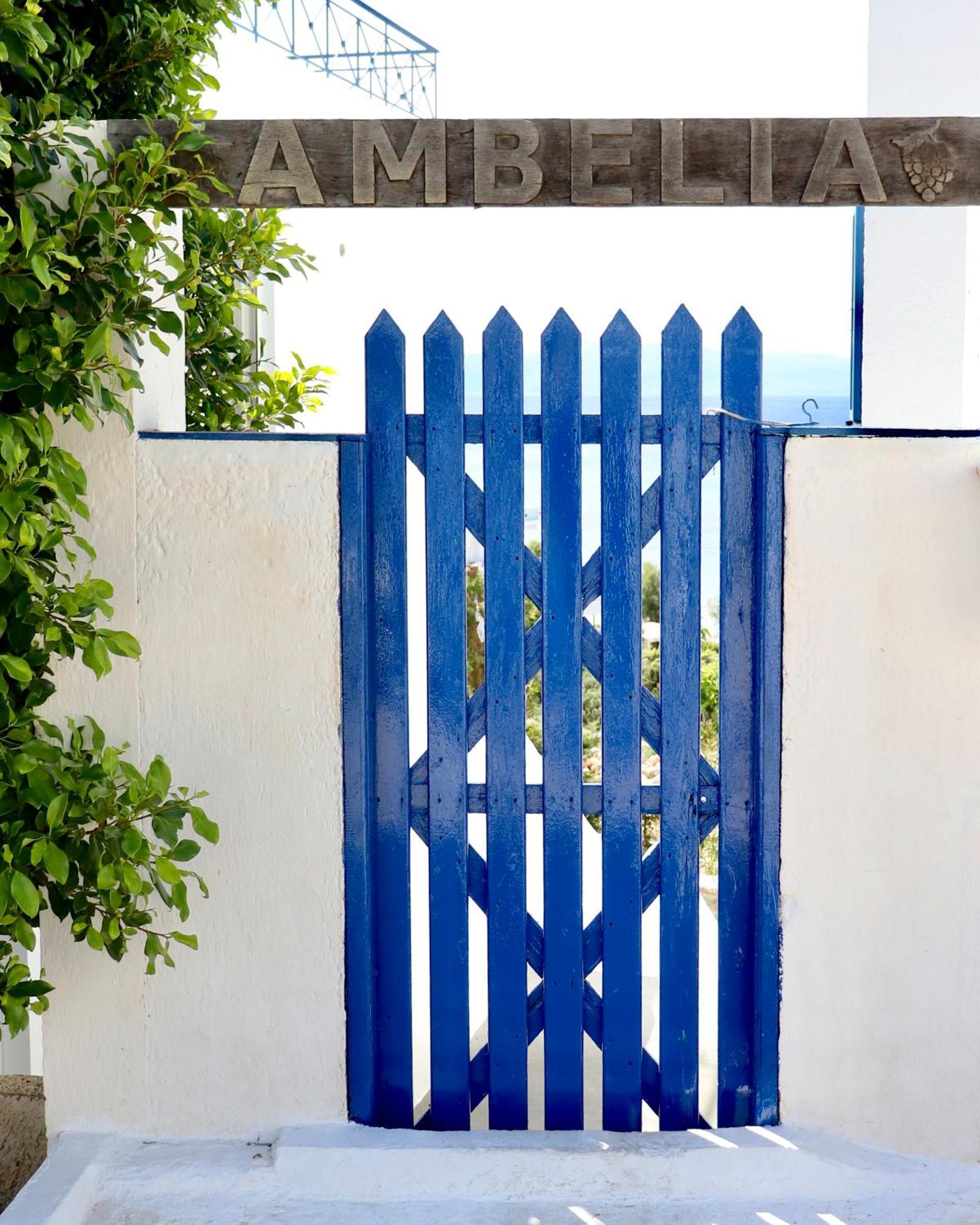 4 Ambelia Paradise Megalochori  Екстер'єр фото
